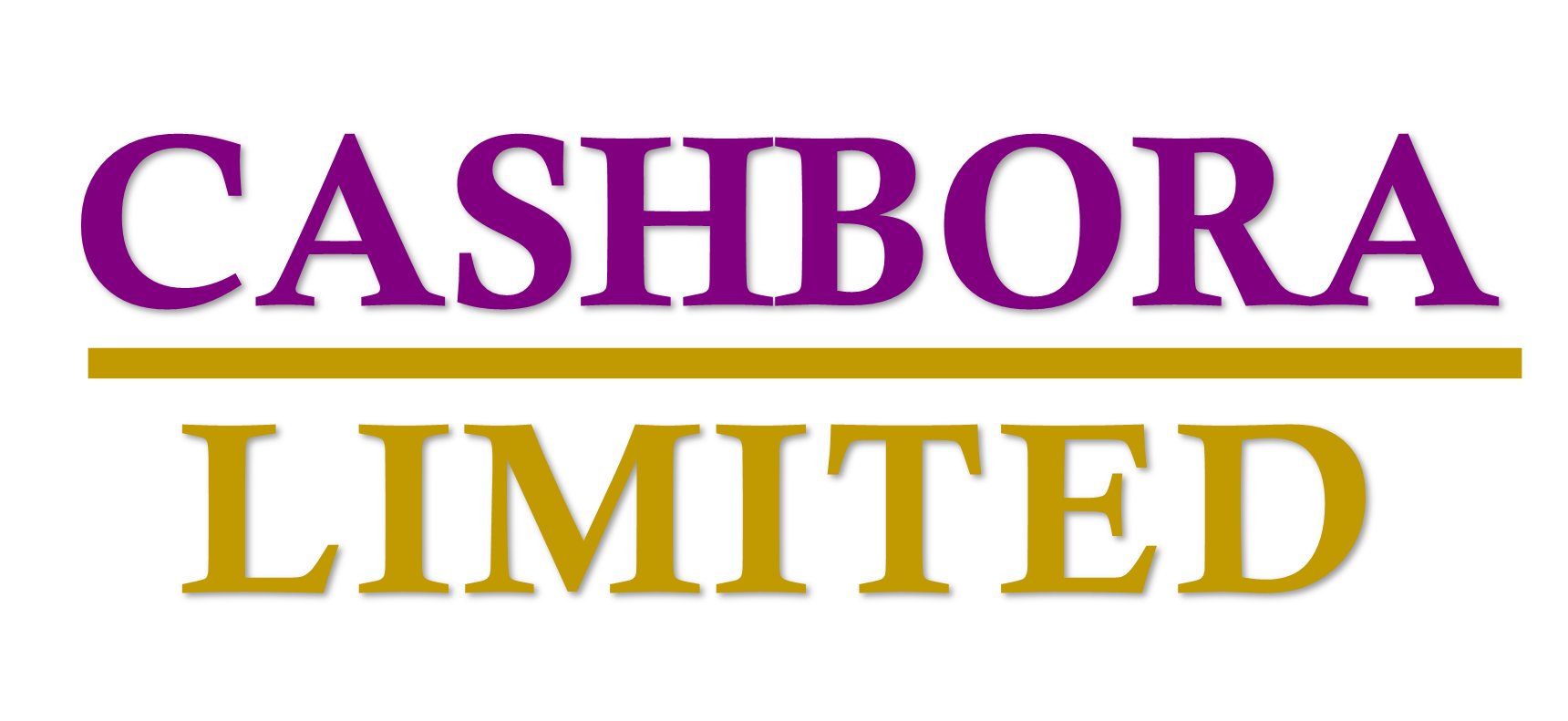 MICROFES Logo
